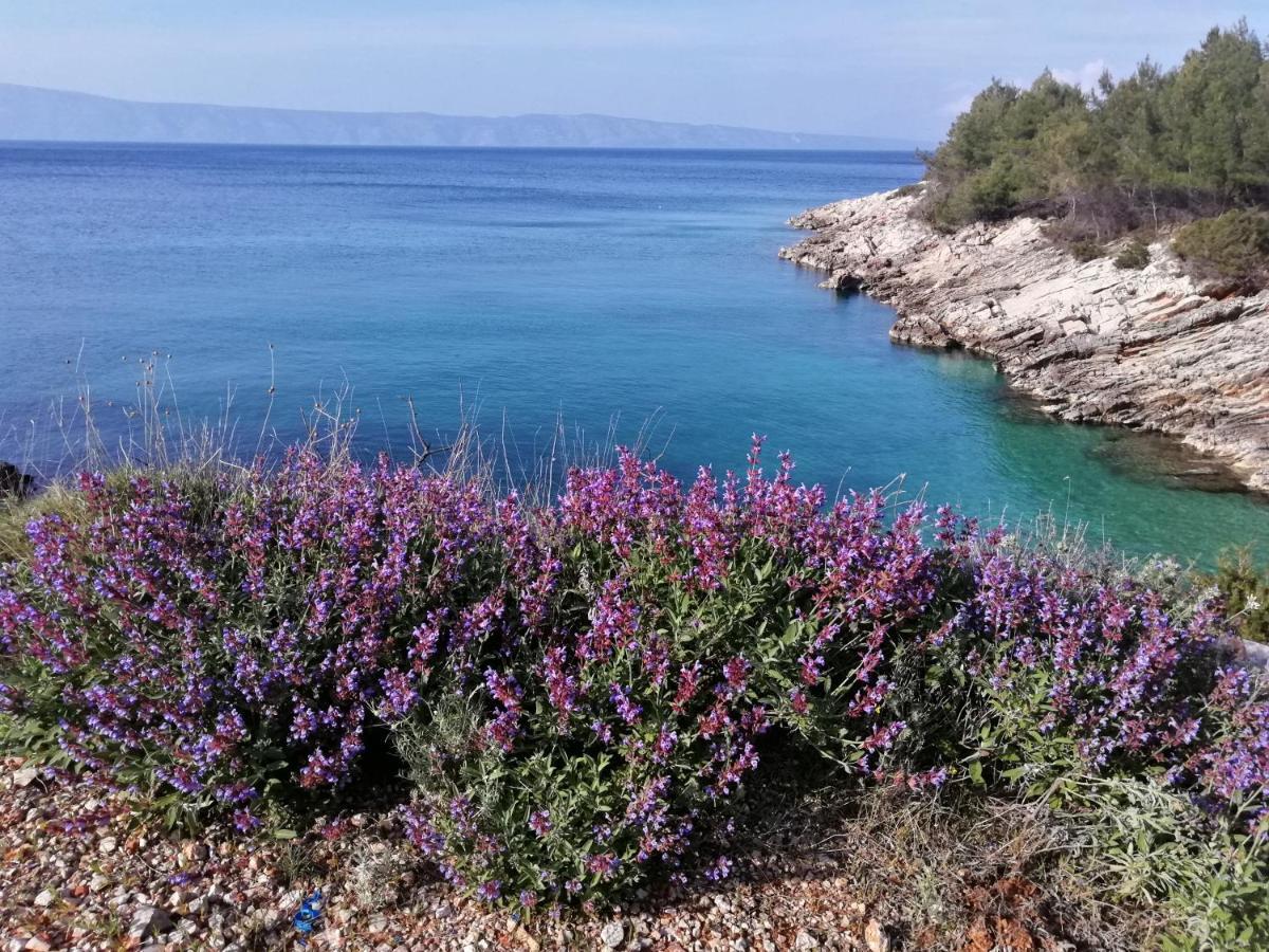 Appartementhaus Elena Jelsa  Εξωτερικό φωτογραφία